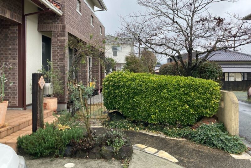 Best of Exalive 2025 Entry No. 1570 -6