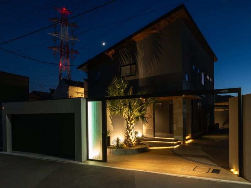 Best of Exalive 2025 Entry No. 1434 -6