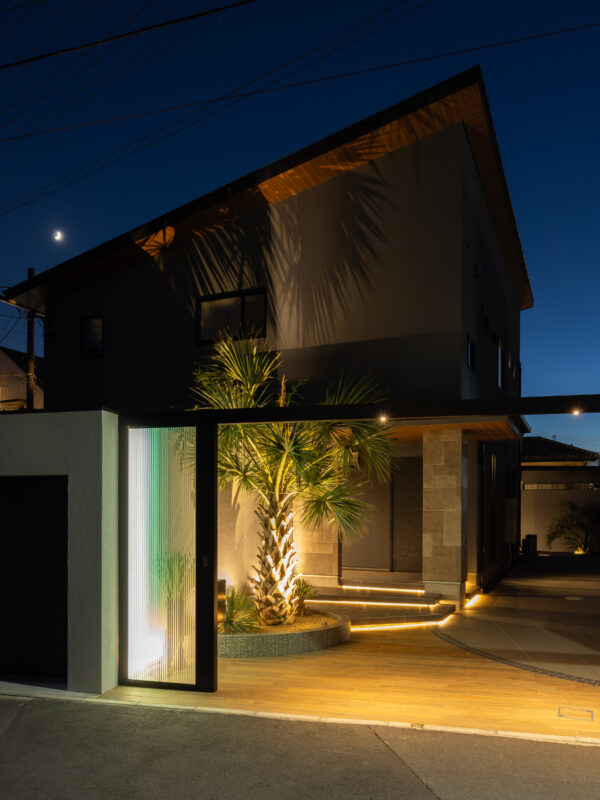 Best of Exalive 2025 Entry No. 1434 -1