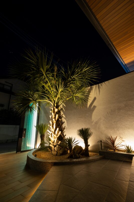 Best of Exalive 2025 Entry No. 1434 -5