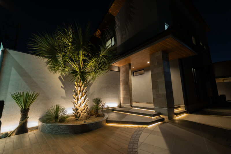 Best of Exalive 2025 Entry No. 1434 -7