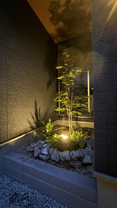 Best of Exalive 2025 Entry No. 1617 -9