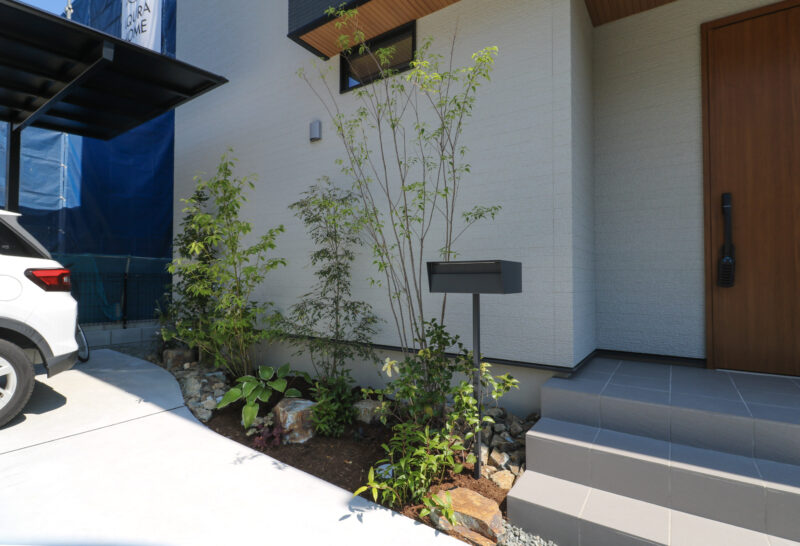 Best of Exalive 2025 Entry No. 1561 -2