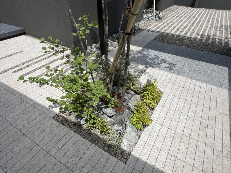 Best of Exalive 2025 Entry No. 1617 -8