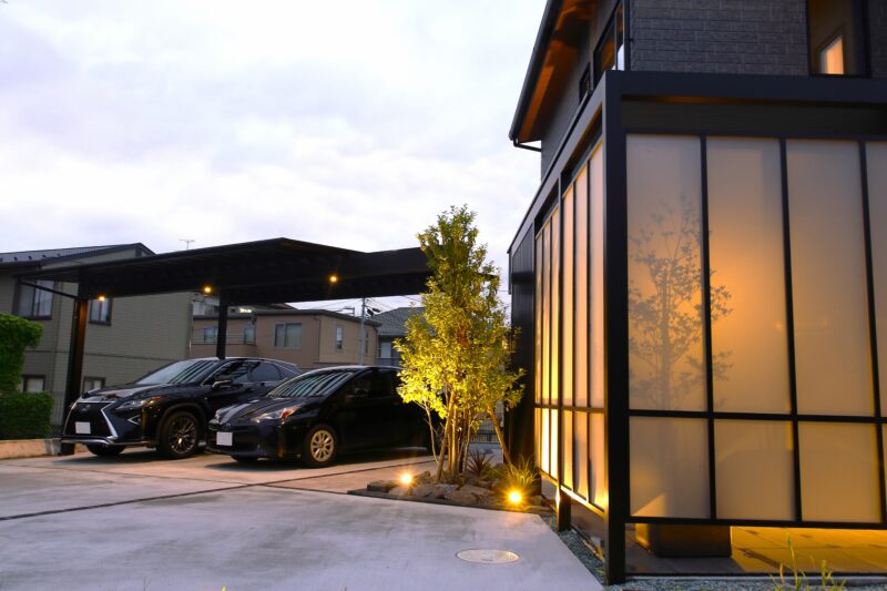 Best of Exalive 2025 Entry No. 1489 -1