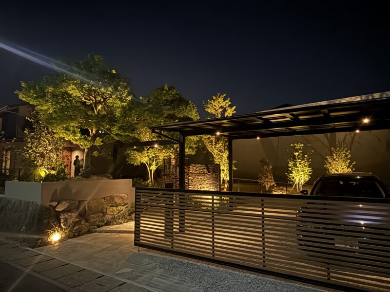 Best of Exalive 2025 Entry No. 1492 -6