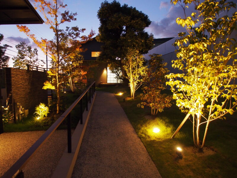 Best of Exalive 2025 Entry No. 1492 -7