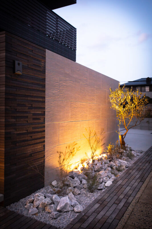 Best of Exalive 2025 Entry No. 1481 -2