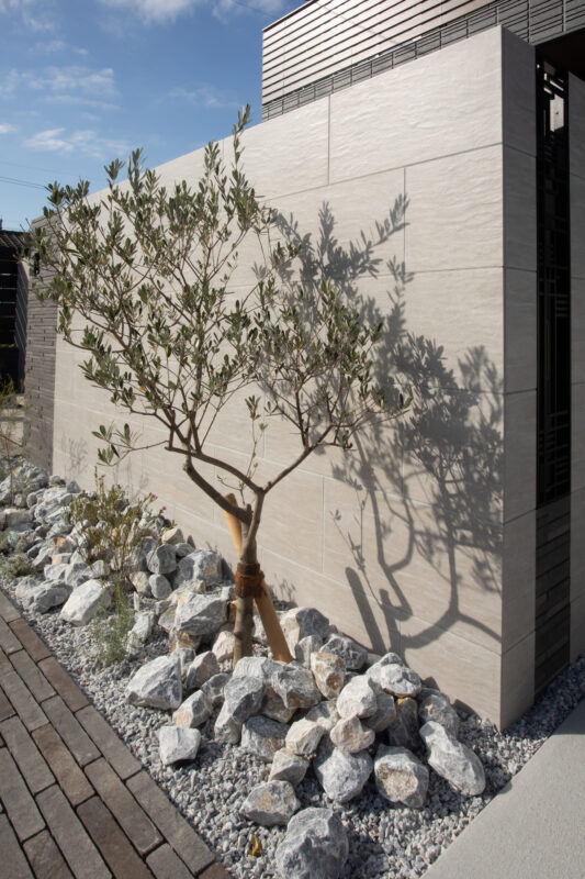 Best of Exalive 2025 Entry No. 1481 -3