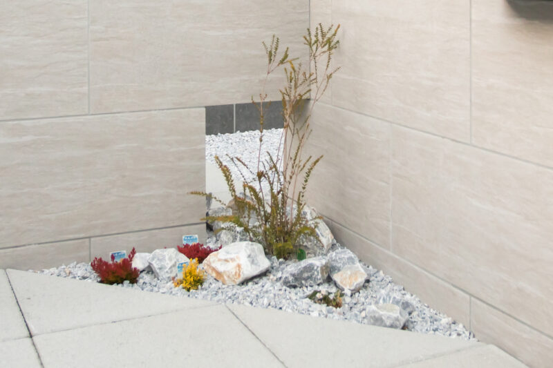 Best of Exalive 2025 Entry No. 1481 -5