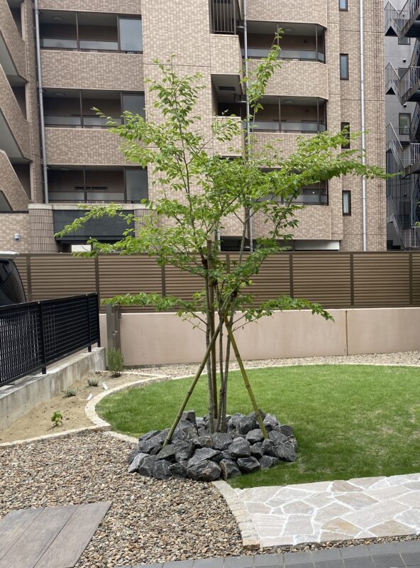 シャラ｜Fgreen