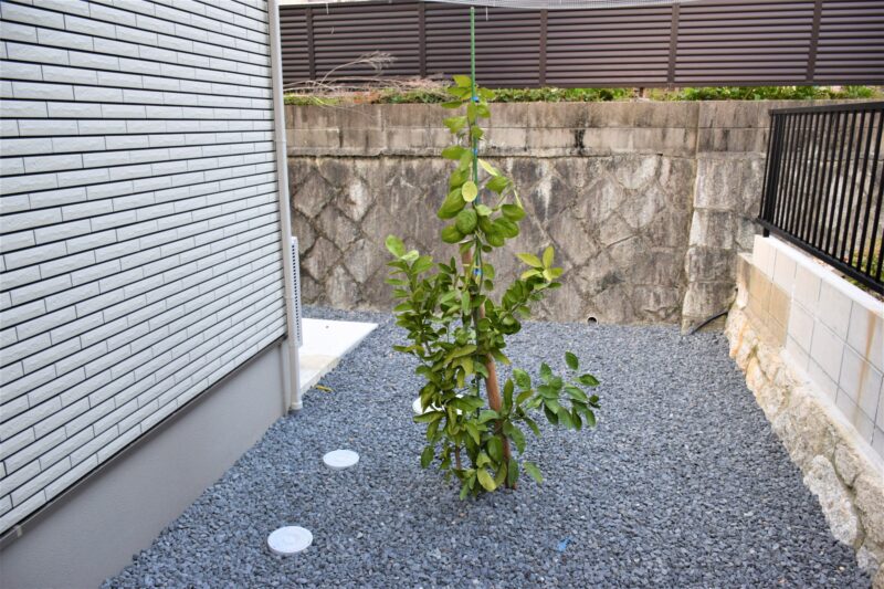みかんの木も植えました。実りが楽しみですね(^^♪