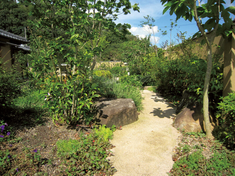 中庭の遊歩道。マサ舗装でしっかりと固め、自然の中の散歩道を演出しています。