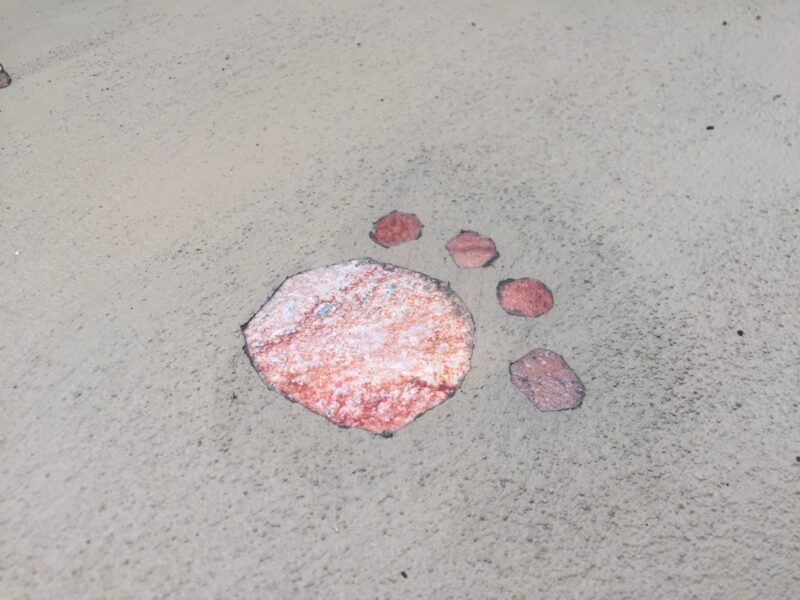 土間のカラーモルタルには乱形石であしらったネコちゃんの足跡