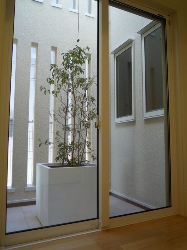 玄関ホールには白い鉢とトキワヤマボウシ