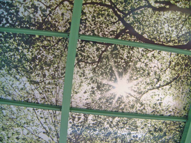 木漏れ日画像を転写したアルミパネルで森林の中にいるイメージで
