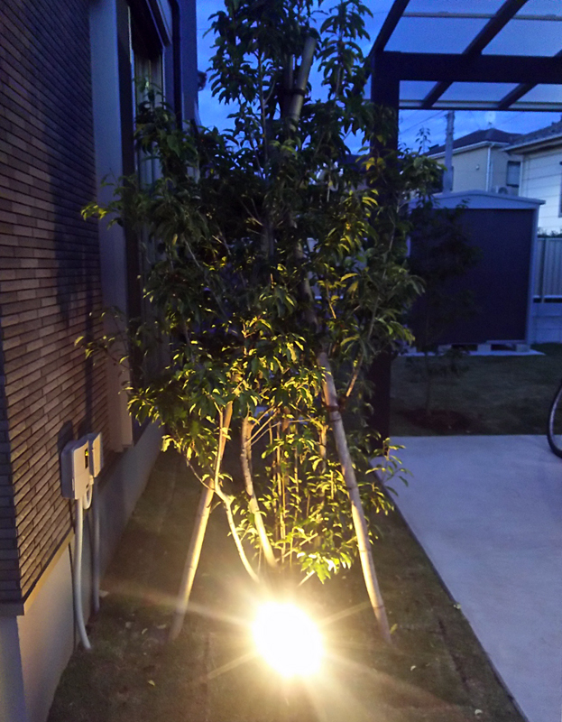 植栽の下に照明を設置して幻想的な空間を造ります。
