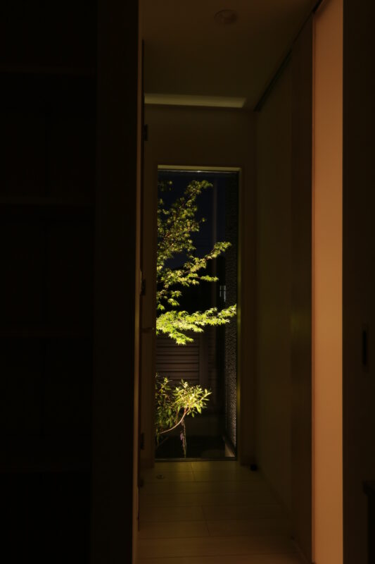 玄関内部の窓から見えるように配置した植栽です