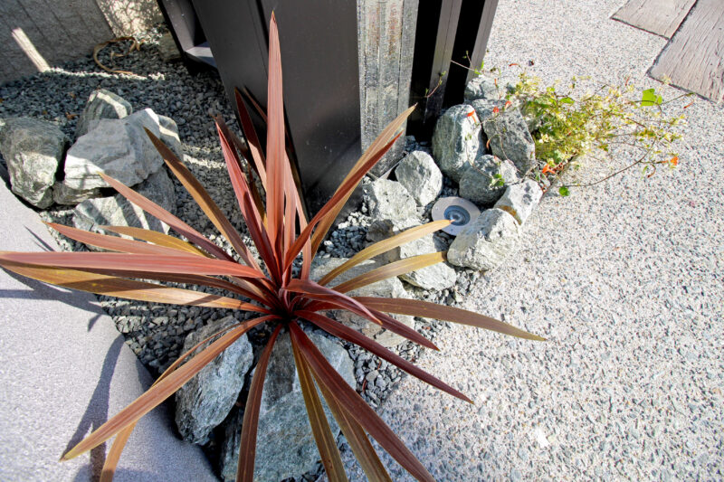 ワンポイントの植栽が効果的です