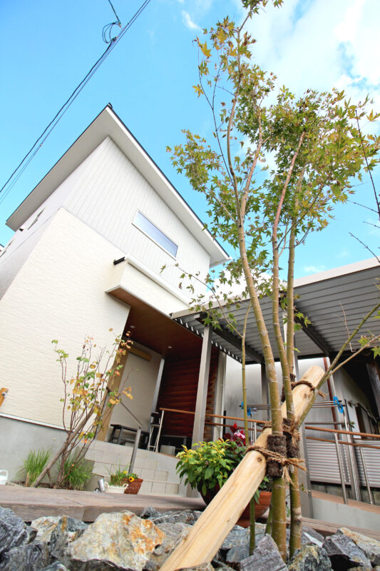 移植したシンボルツリーが優しい影を落とします