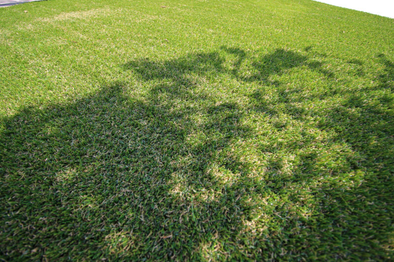 アクセントとして取り入れた人工芝は、緑がとても美しく癒しの空間となりました。