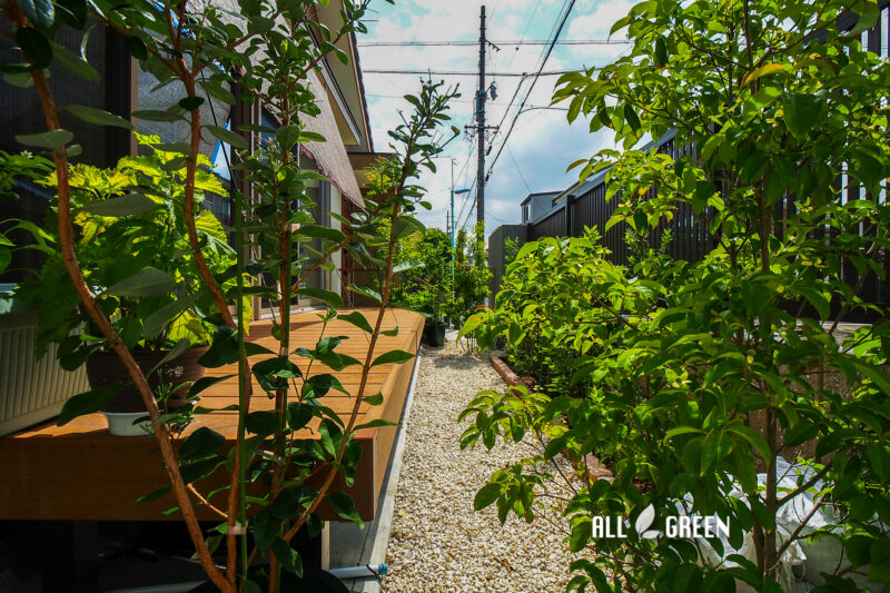 植栽の奥に覗くデッキ。