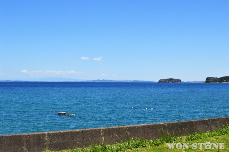 徒歩一分で、この景色です。