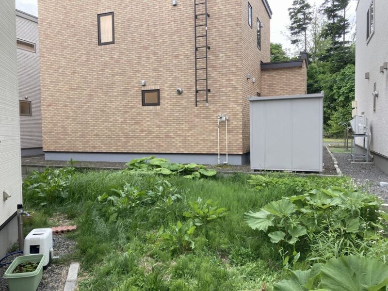 Before