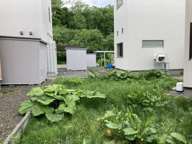 Before